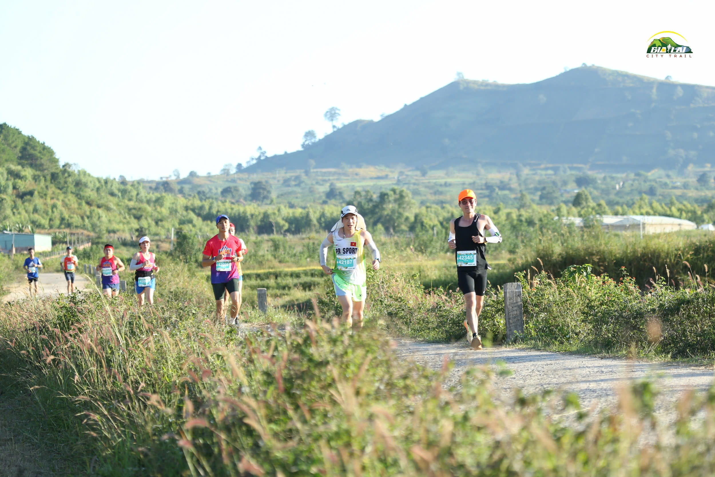 Gia Lai City Trail 2024: Hơn 6.800 VĐV chạy trong sắc vàng của hoa dã quỳ- Ảnh 2.