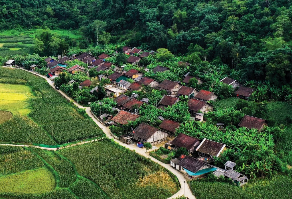 Свайные дома народа таи. Фото: The Vinh