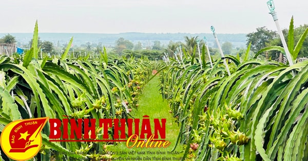 Développer une agriculture biologique à la hauteur de son potentiel