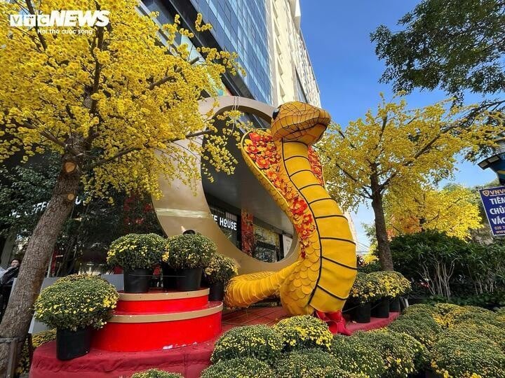 巳年のマスコット、キングコブラ「ベイビー・ナ」がニャチャン市の中心部に登場しました。（写真：ミン・グエット）