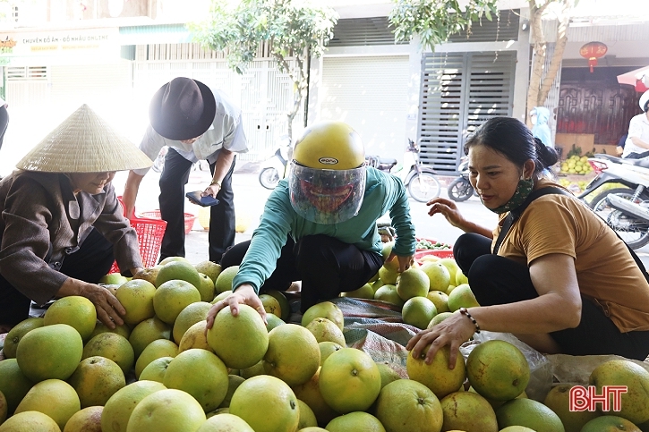 Đặc sản bưởi Phúc Trạch xuống phố