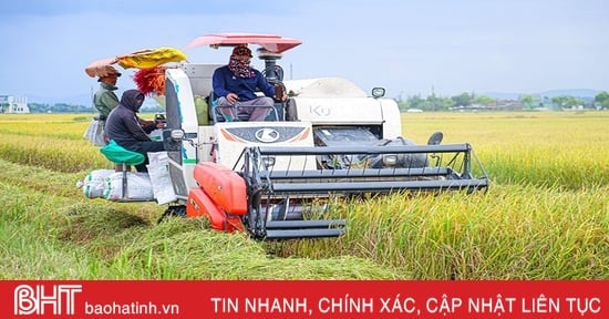 Vụ lúa hè thu ở Hà Tĩnh thắng lợi toàn diện