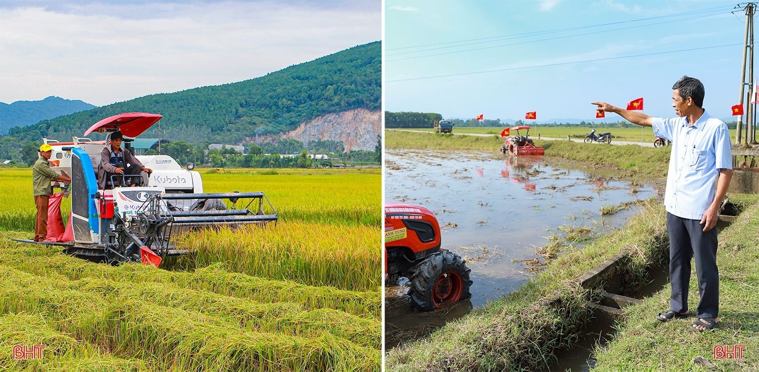 Chuyện lão nông ở Hà Tĩnh xây dựng thương hiệu gạo OCOP