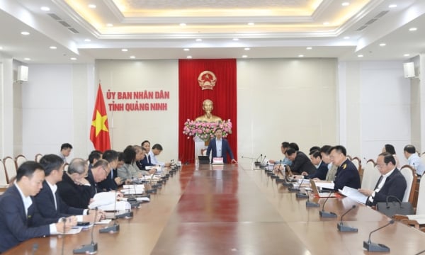 Chairman of the Provincial People's Committee directed to remove difficulties for social housing development