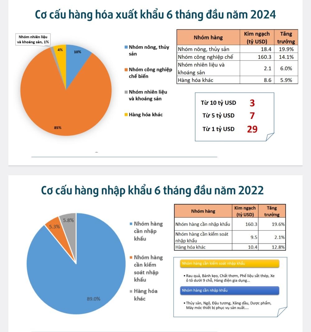 Structure des importations et des exportations de biens au cours des 6 premiers mois de 2024.