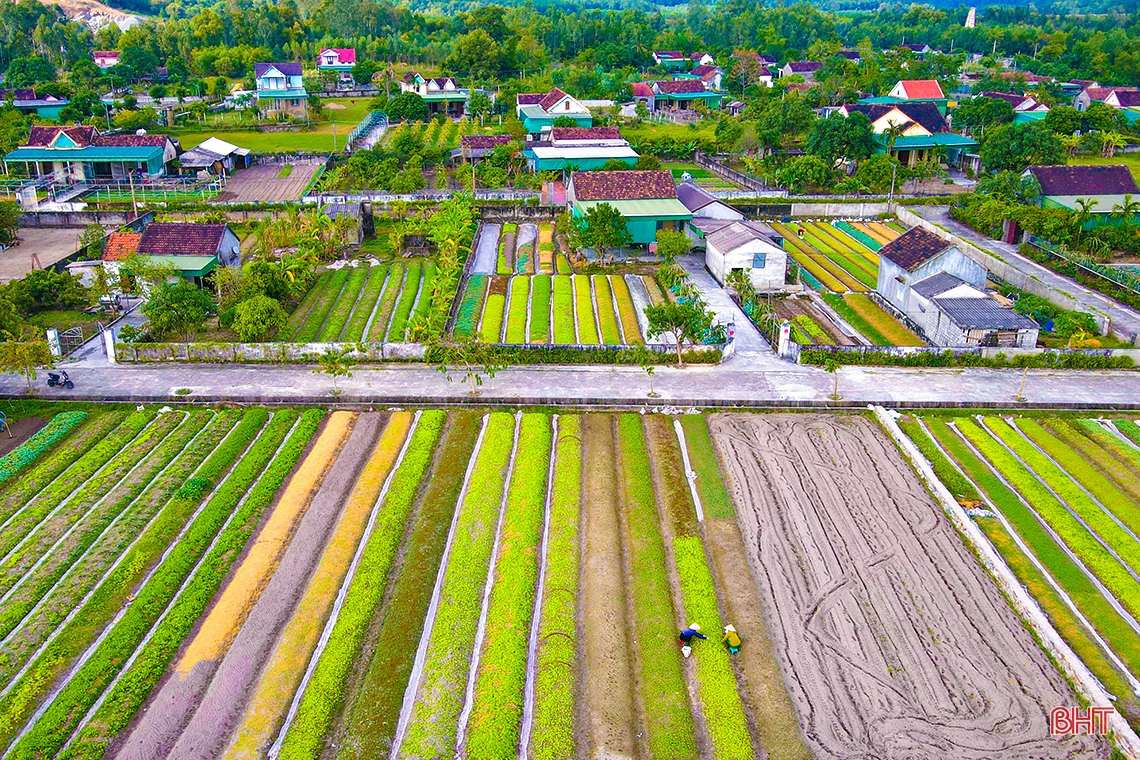 Ha Tinh reconnaît 16 communes répondant aux nouvelles normes rurales après la fusion