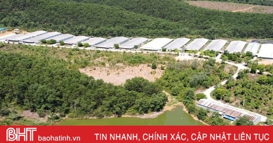 Hợp tác xã nông nghiệp có doanh thu hơn 60 tỷ đồng/năm ở Vũ Quang