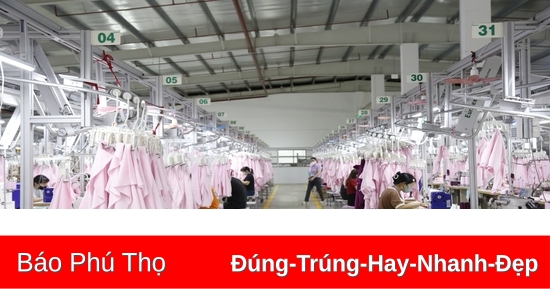 Thu bảo hiểm xã hội đạt 99,42% kế hoạch năm 2024