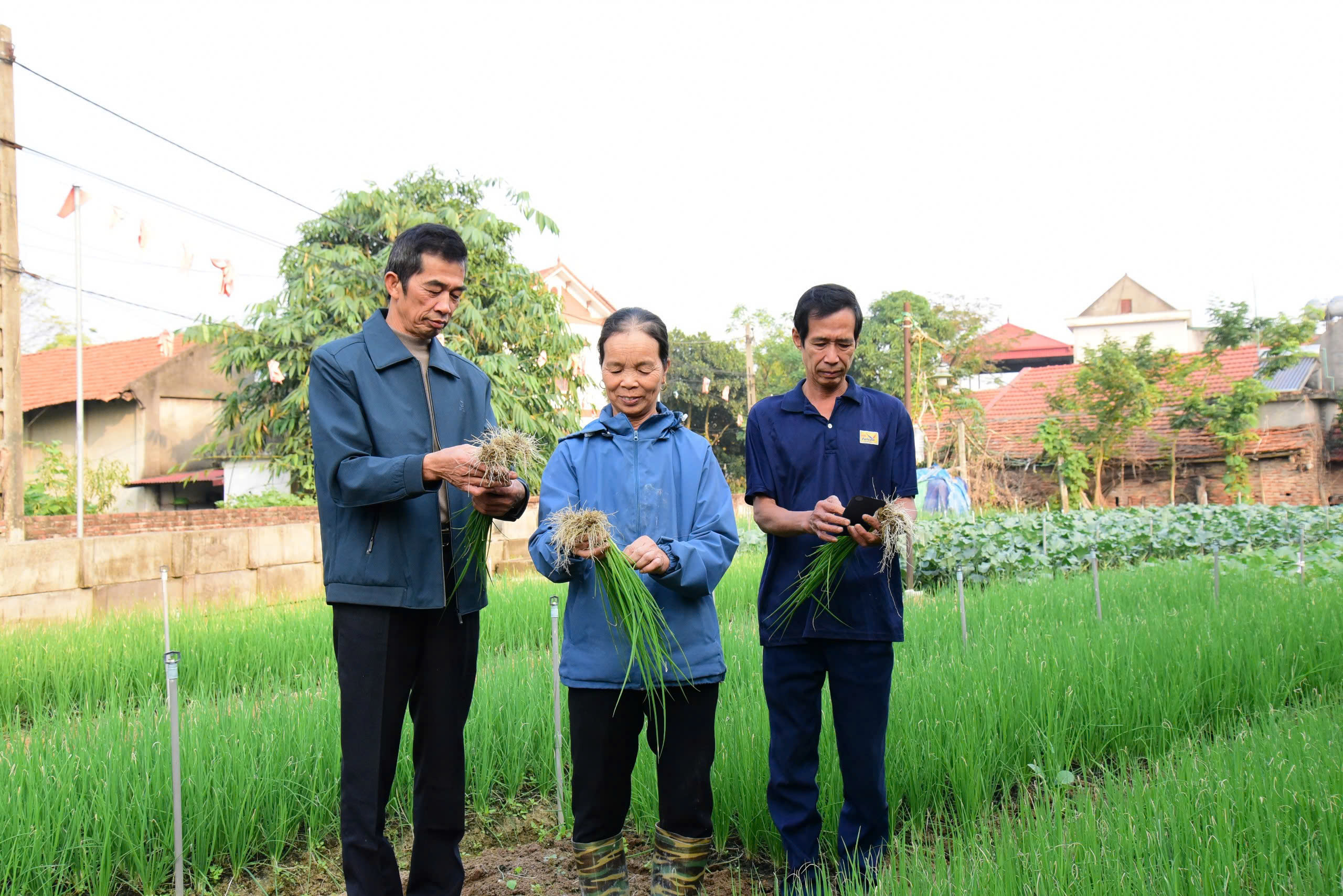 Nâng cao hiệu quả chuyển đổi số kinh tế tập thể