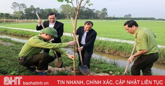 Los líderes de la provincia de Ha Tinh participan en la plantación del árbol Tet en las localidades