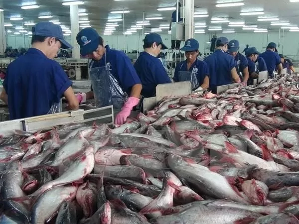 Conclusion of administrative review of anti-dumping tax on Vietnamese pangasius exported to the United States