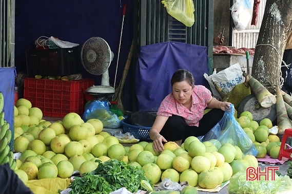 Đặc sản bưởi Phúc Trạch xuống phố