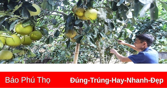 Người có uy tín vận động Nhân dân phát triển kinh tế