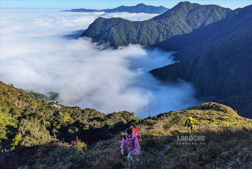 sống khủng long hùng vĩ và những khu rừng ma mị phủ đầy rong rêu với ngọn núi nằm trong top 15 Việt Nam. Ảnh: Xu Kiên