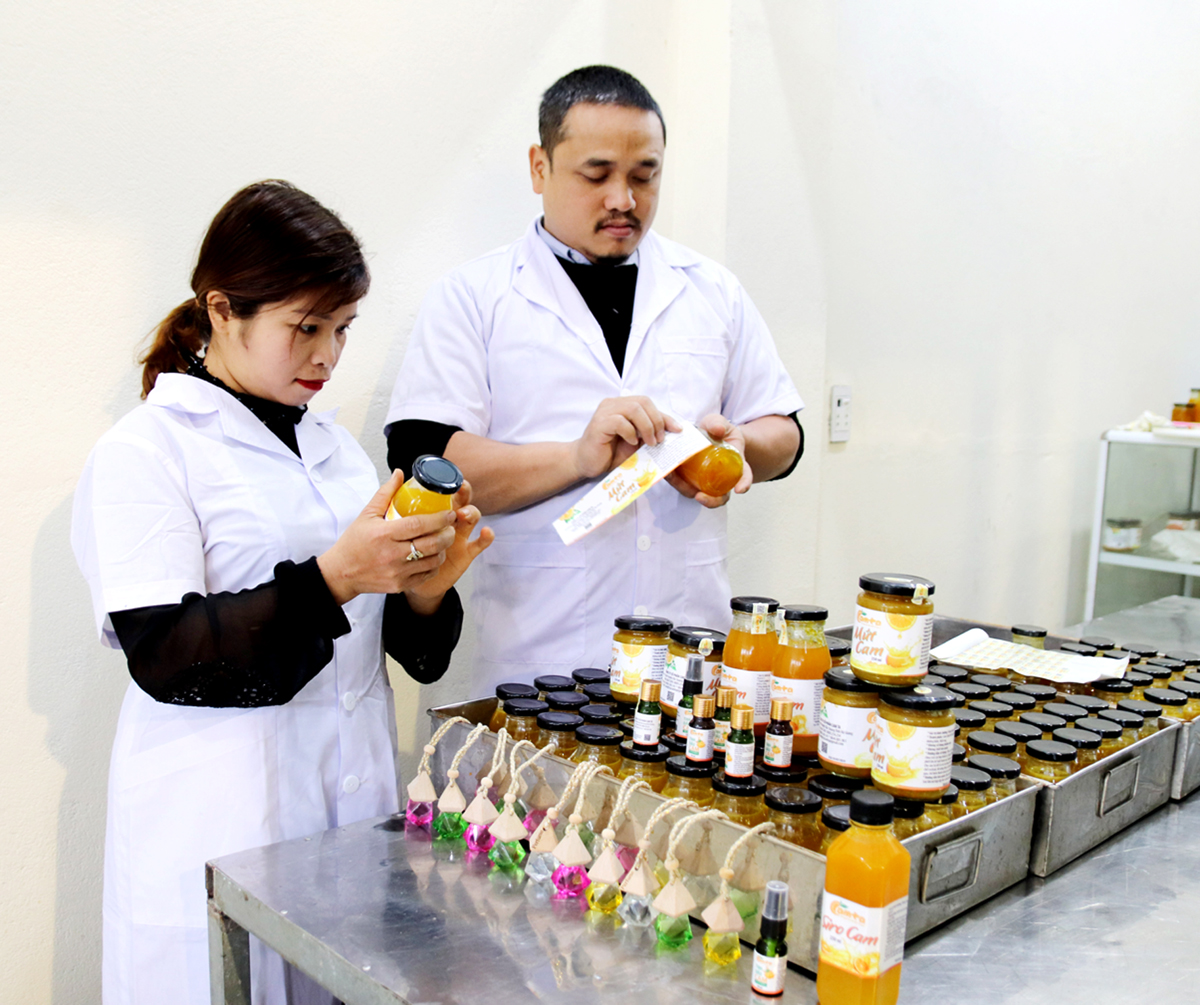 Through processing Sanh oranges, Ta Orange Joint Stock Company, Dong Thanh commune (Bac Quang) has 3 products that meet OCOP standards.