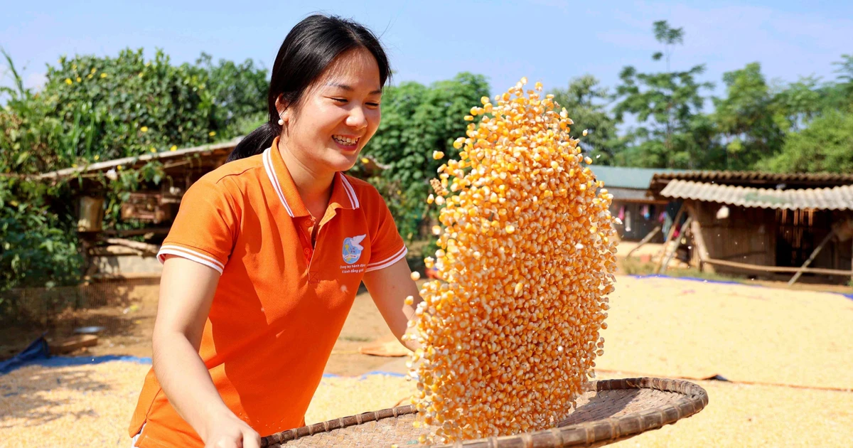 ស្ត្រី​ឃុំ​បាន​លូ លើក​កម្ពស់​អំណាច​សេដ្ឋកិច្ច