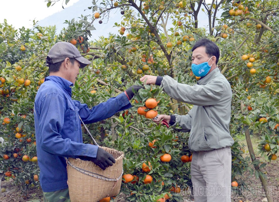 El apoyo confiable de los agricultores