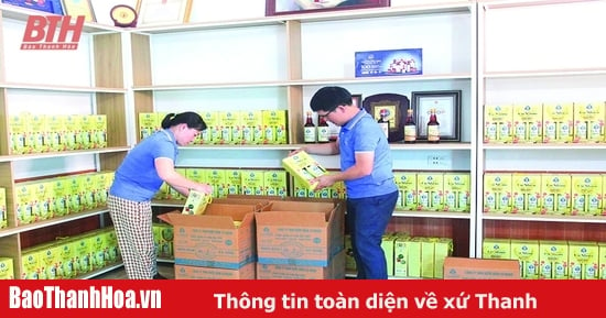 Các HTX sẵn sàng nguồn cung hàng hóa cho thị trường dịp cuối năm