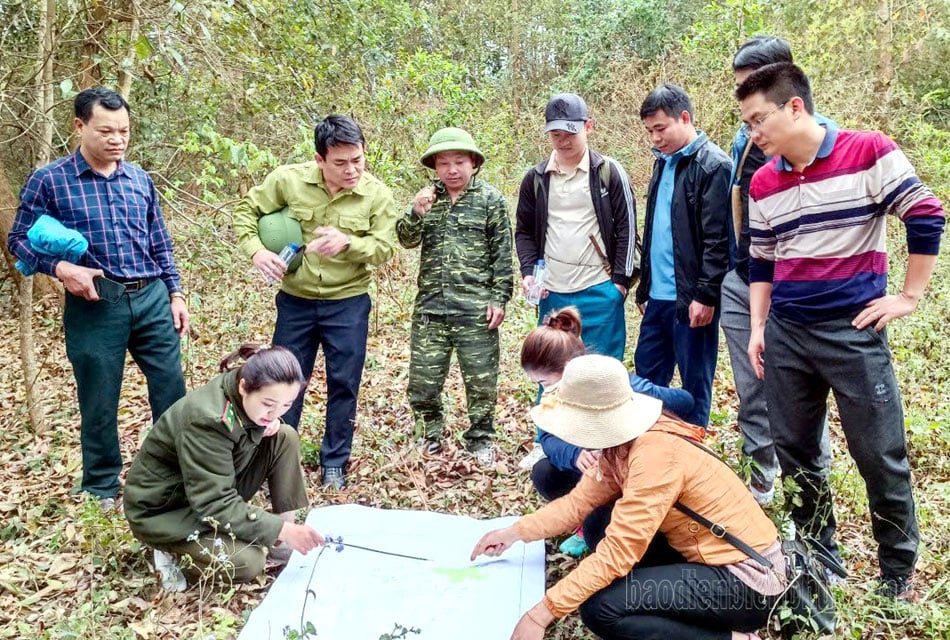 Les femmes gardes forestiers protègent la forêt