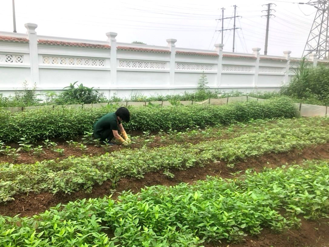 ចំណូលរបស់កងកម្លាំងប្រដាប់អាវុធខេត្ត Hai Duong កើនដល់ជាង ៧០០លានដុង។