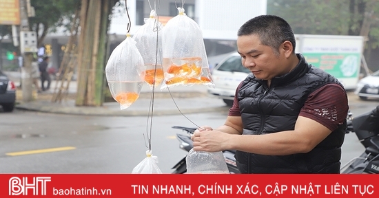 Người dân mua sắm lễ tiễn ông Công, ông Táo về trời