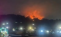 Incendie de forêt de protection de Phu Quoc