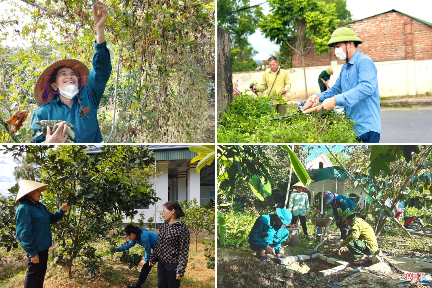 พื้นที่ชนบทใหม่ยั่งยืนของห่าติ๋ญ จาก “ครอบครัว 5 มี – พื้นที่ชนบทใหม่ต้นแบบ”