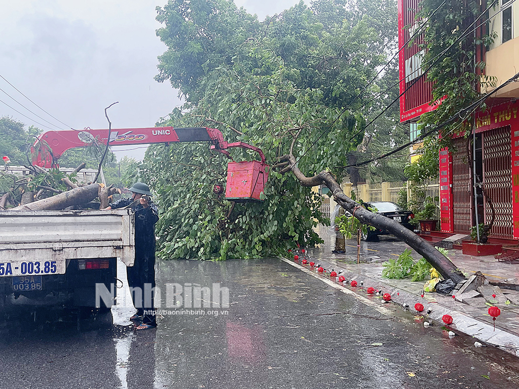 ช่วงวันที่ 19-21 จังหวัดนิญบิ่ญ มีฝนตกหนัก