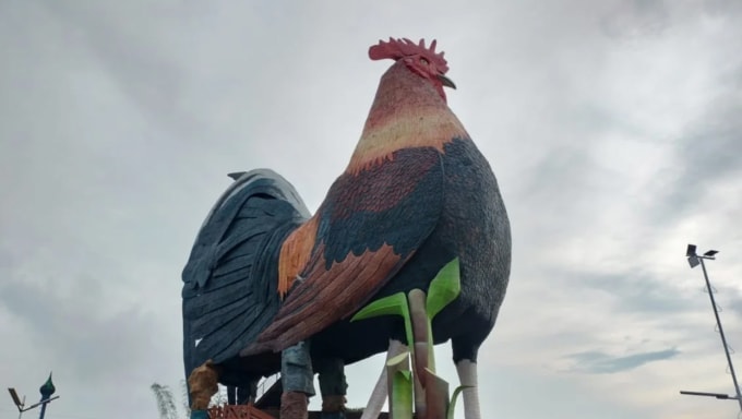 Hotel para pollos gigantes en Filipinas