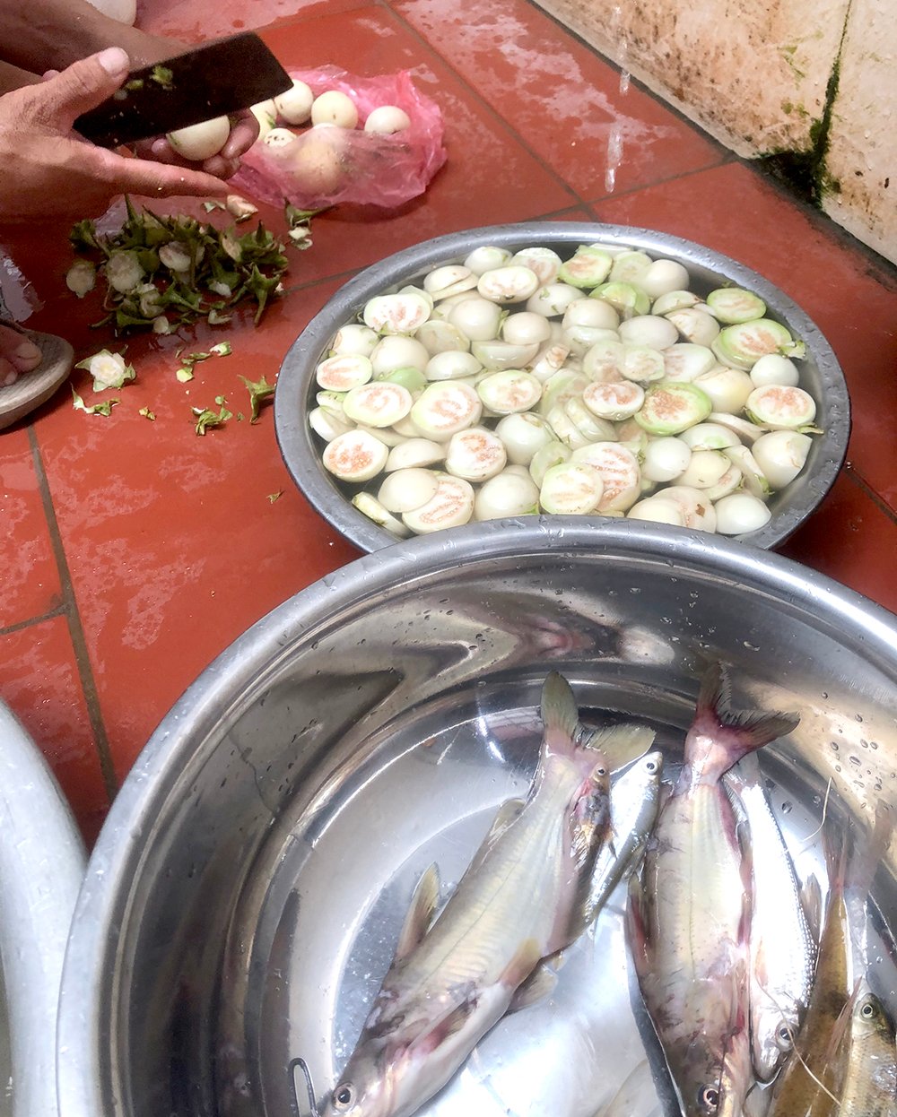 Unique braised catfish with eggplant