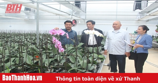 Điển hình phát triển nông nghiệp công nghệ cao