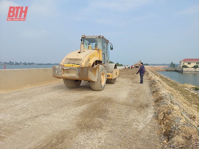 Travaux urgents pour réparer et compléter le système de digues fragile de Thanh Hoa