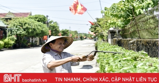 Admire la "nueva apariencia" de la zona residencial modelo en la ciudad de Hong Linh