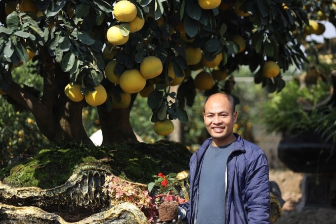 El Sr. Hoan junto a una maceta grande de pomelo. Foto: Viet An