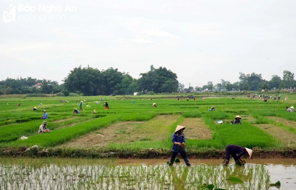 bna_ ảnh toàn. Ảnh- Phú Hương.jpg