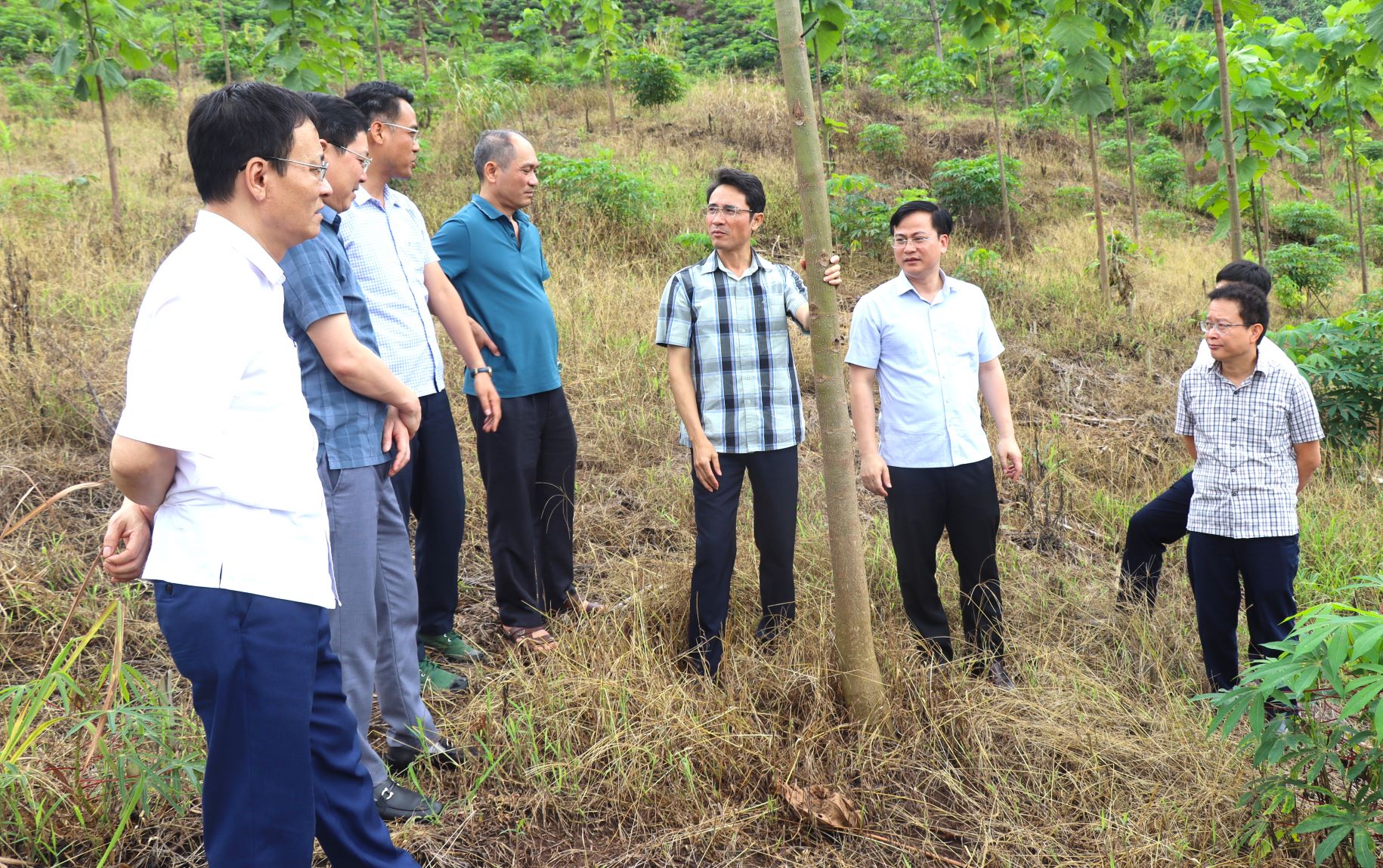 Đồng chí Hà Trọng Hải - Phó Chủ tịch UBND tỉnh cùng đoàn công tác kiểm tra khu đồi trồng gỗ hông tại xã Căn Co.