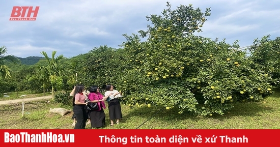 Some tourist attractions still let visitors "ride horses to see flowers"