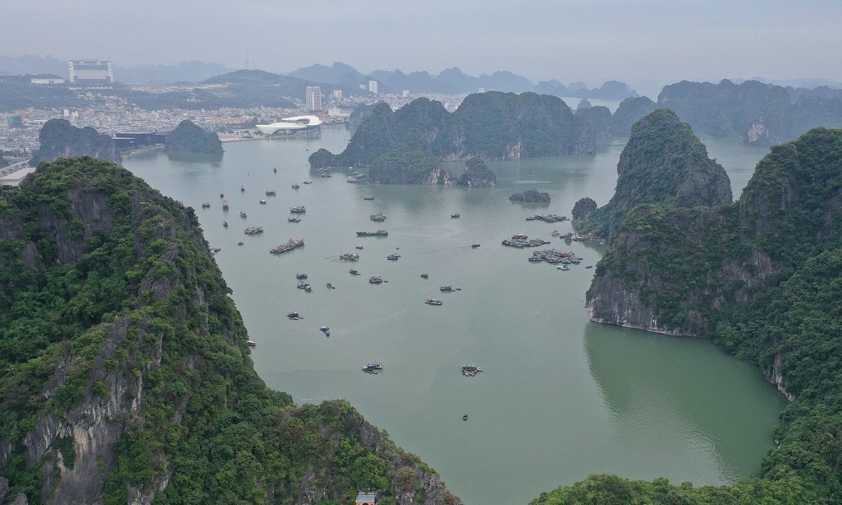 dao-vang-vinh-ha-long(1).jpg