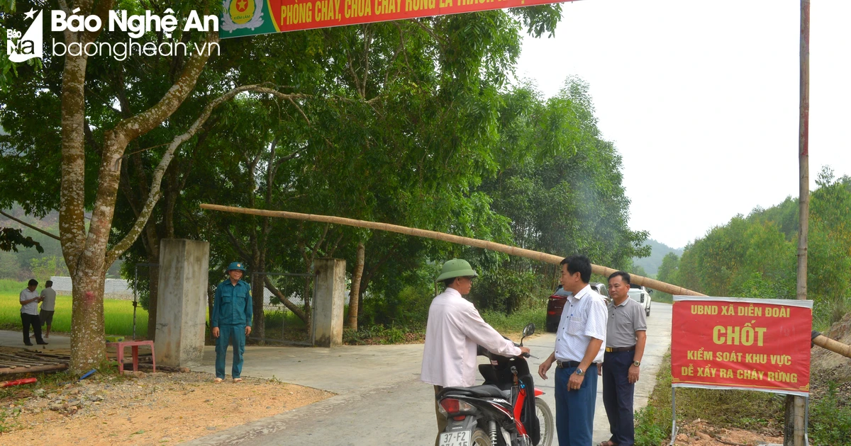 Nghe An: Straining to guard against forest fires on hot days