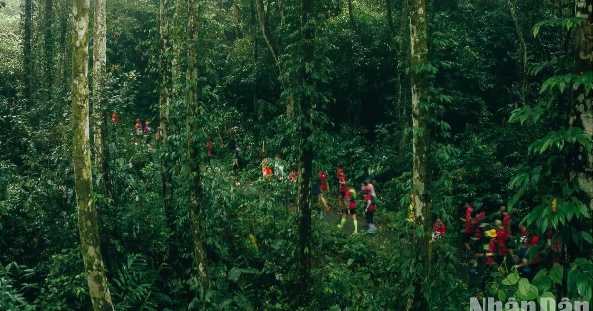 Eine Rekordsaison für den vietnamesischen Tourismus