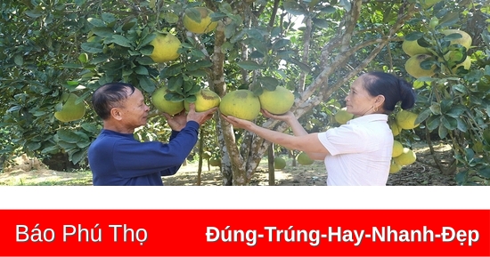 Đưa Nghị quyết “tam nông” vào cuộc sống