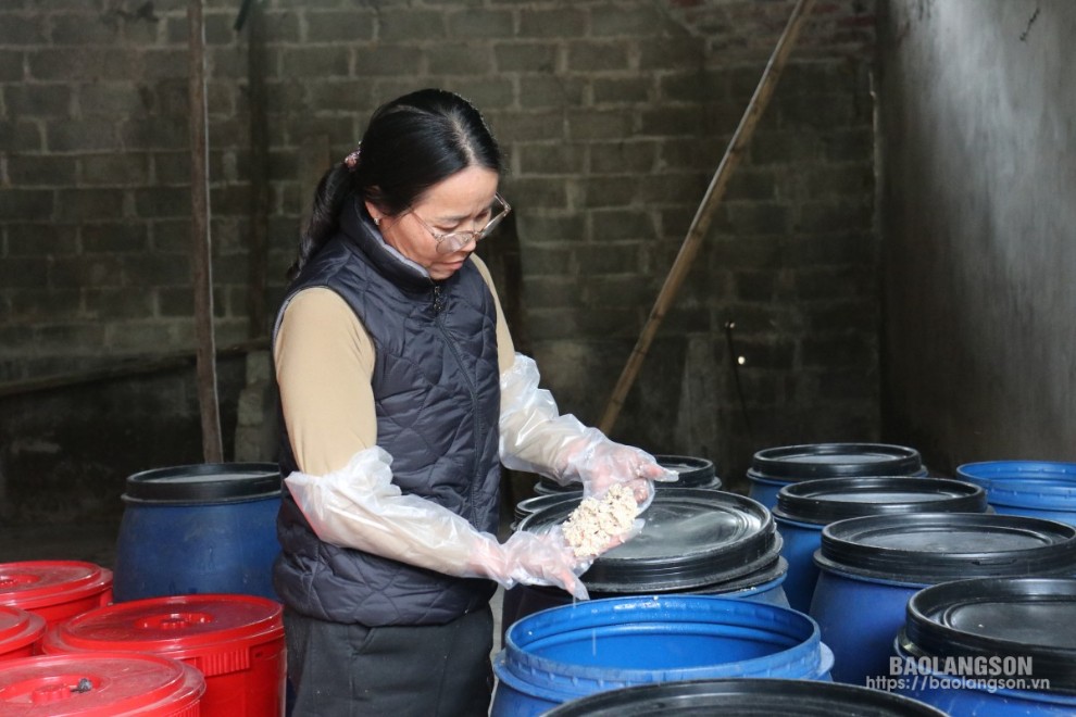Frau Vy Thi Bay, Direktorin der landwirtschaftlichen Produktions- und Dienstleistungsgenossenschaft Xuat Le, prüft die Qualität des fermentierten Reises vor der Destillation.