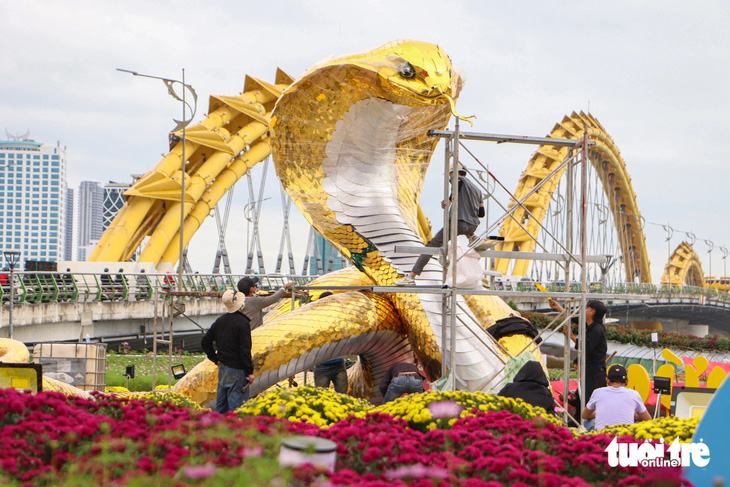 Impressive snake mascot about to 'debut' in Da Nang - Photo 1.