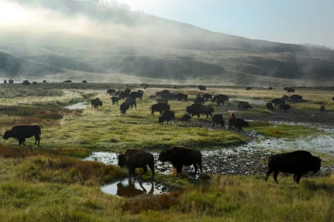 (Fuente: National Geographic)