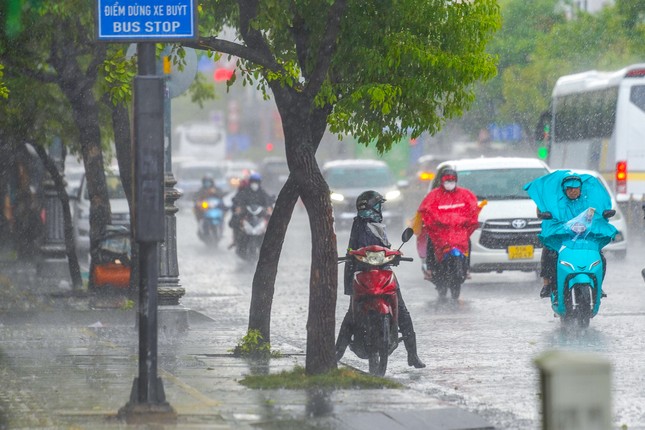 TPHCM mưa dông gia tăng trong tuần mới ảnh 1