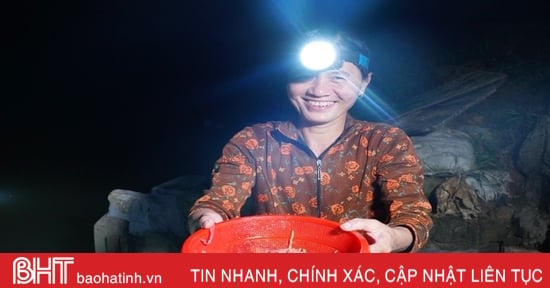 Watch Ha Tinh farmers wear lanterns to hunt "earth dragons"