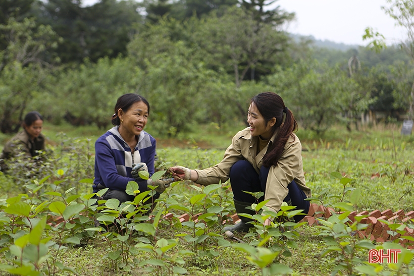 Hai Thuong Lan Ong Le Huu Trac en la conciencia del pueblo Ha Tinh