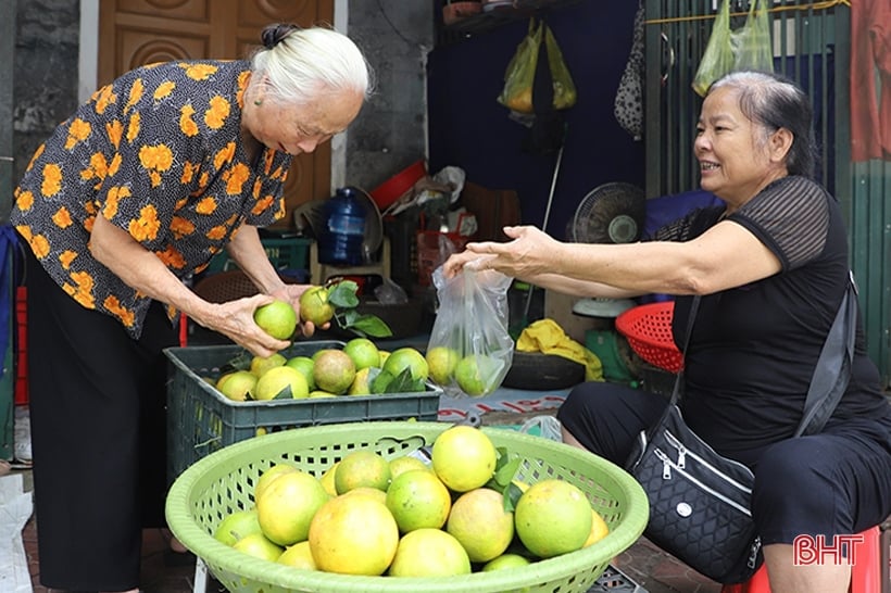 Las naranjas Ha Tinh de temporada temprana 