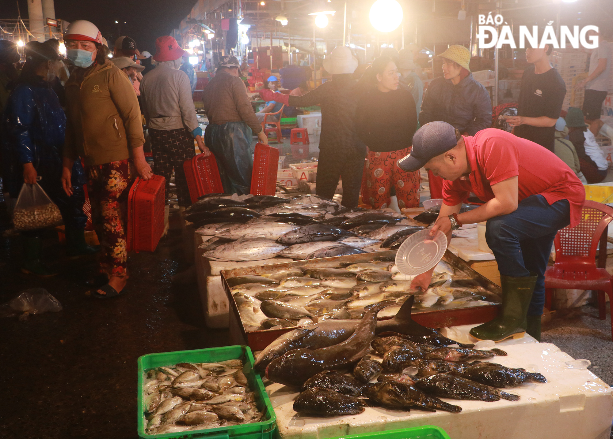 Selon le Conseil de gestion du port de pêche et des bateaux de Tho Quang, du 1er au 6 février, 2 173 véhicules et bateaux de pêche sont entrés et sortis pour des activités commerciales et commerciales.