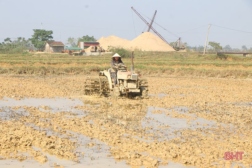 Nông nghiệp hàng hóa Hà Tĩnh - hành trình và đích đến